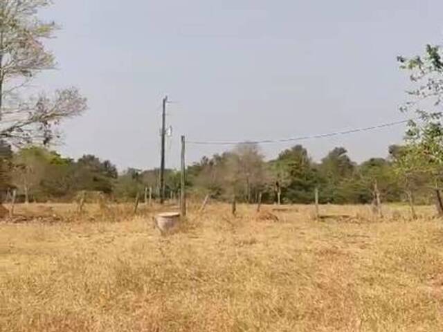 Sítio para Venda em Fazenda Nova - 5