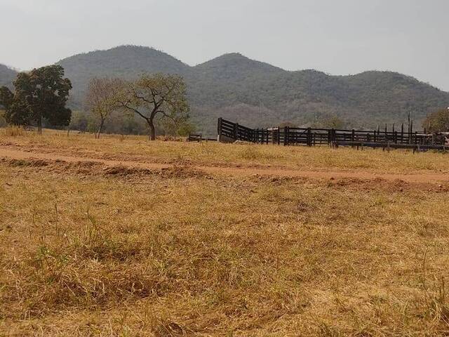 #340 - Sítio para Venda em Fazenda Nova - GO - 2
