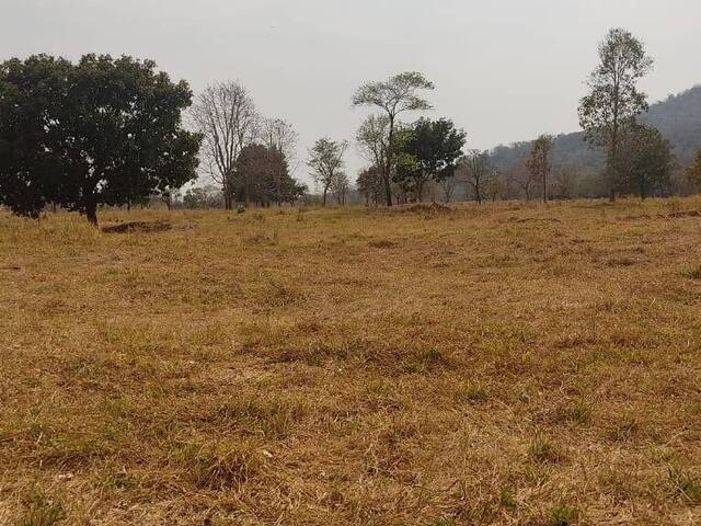 #340 - Sítio para Venda em Fazenda Nova - GO - 1