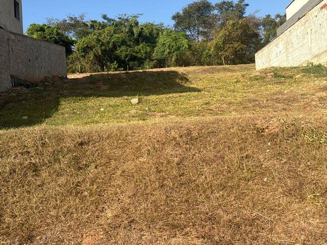 #341 - Área para Venda em Senador Canedo - GO - 3