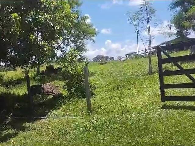 #342 - Sítio para Venda em Caldazinha - GO - 1