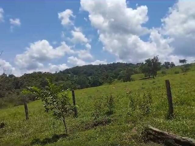 #342 - Sítio para Venda em Caldazinha - GO - 2
