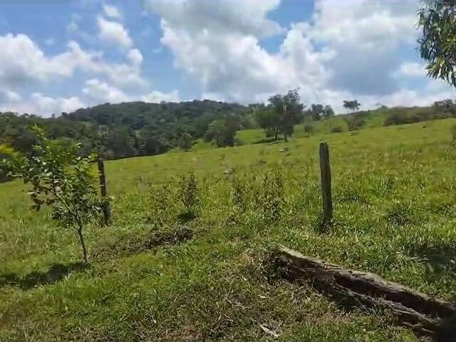 #342 - Sítio para Venda em Caldazinha - GO - 3