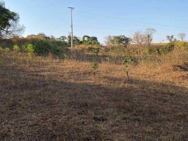 Chácara para Venda em Trindade - 5