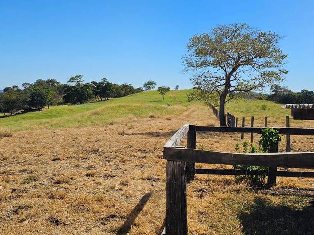 Fazenda para Venda em Goiás - 4