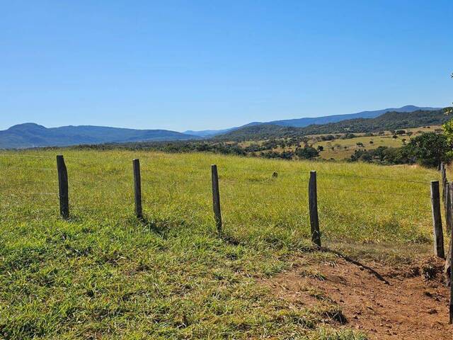 Venda em Zona Rural - Goiás