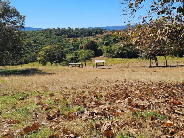 Fazenda para Venda em Goiás - 5