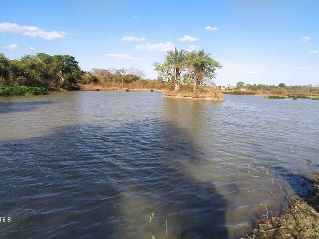 Sítio para Venda em Trindade - 5