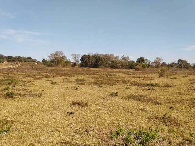 Sítio para Venda em Trindade - 4