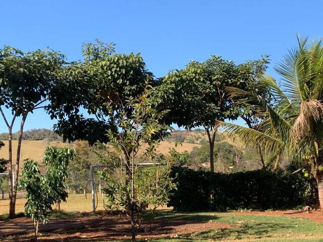 Chácara para Venda em Petrolina de Goiás - 4
