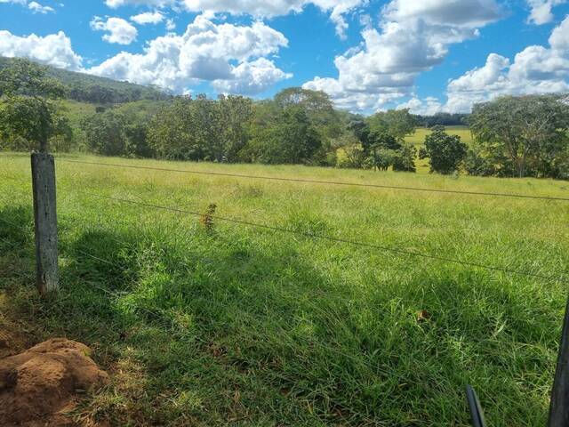 #366 - Fazenda para Venda em Pirenópolis - GO - 2