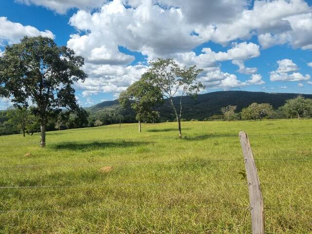 Fazenda para Venda em Pirenópolis - 5