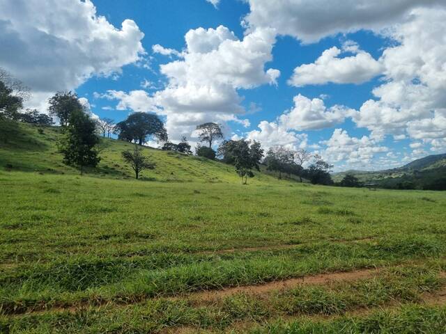 Venda em Zona Rural - Pirenópolis