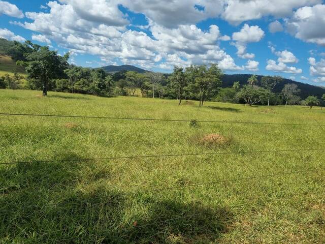 Fazenda para Venda em Pirenópolis - 4
