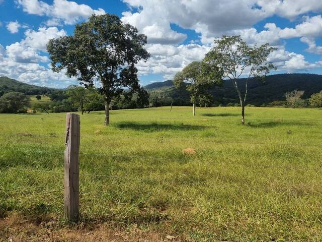 #366 - Fazenda para Venda em Pirenópolis - GO - 3