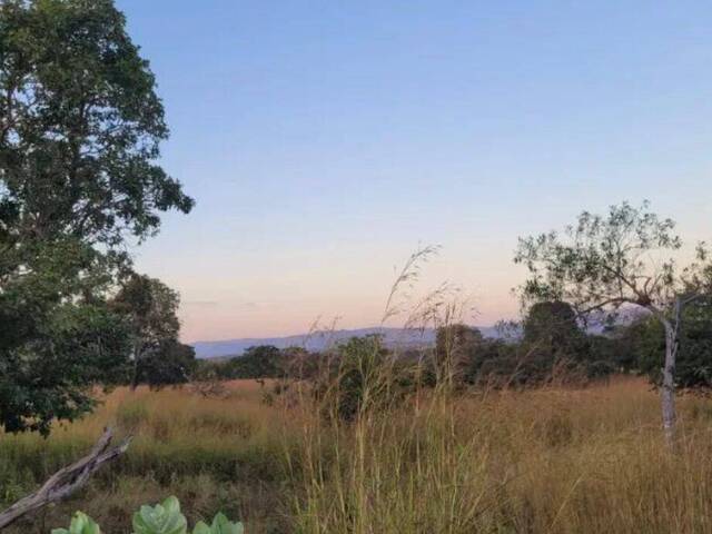 #368 - Fazenda para Venda em Faina - GO - 3
