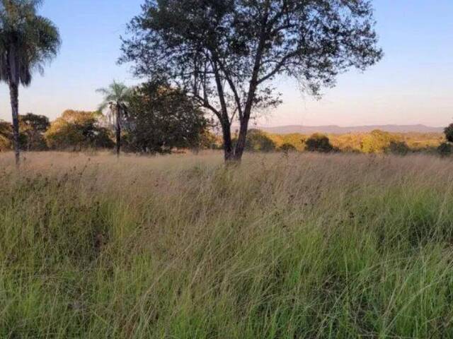 #368 - Fazenda para Venda em Faina - GO - 2