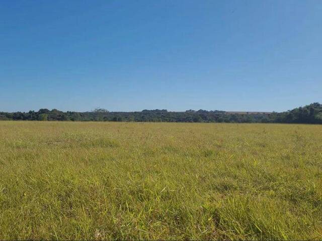 #369 - Fazenda para Venda em Indiara - GO