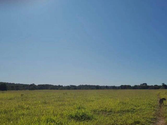 #369 - Fazenda para Venda em Indiara - GO