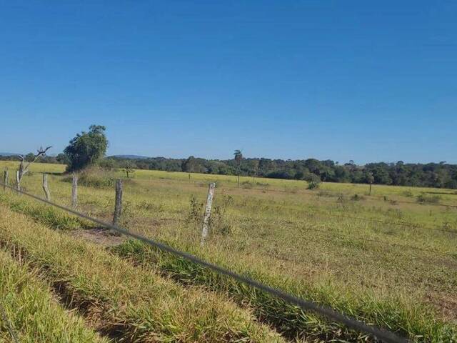 #369 - Fazenda para Venda em Indiara - GO