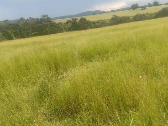 Sítio para Venda em Itaberaí - 4