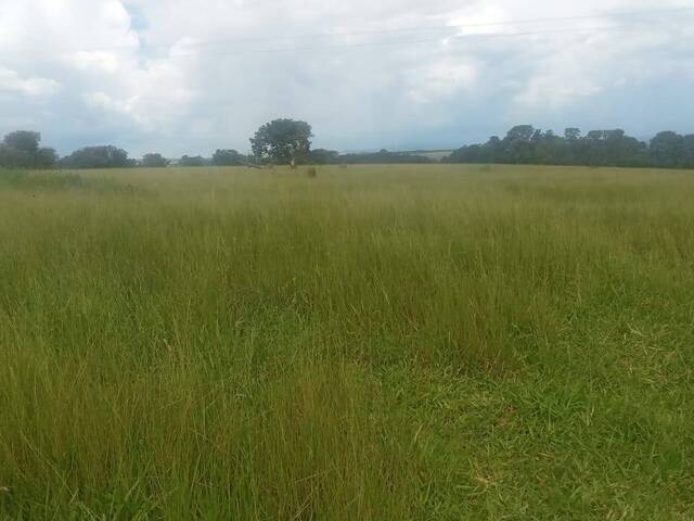 #371 - Sítio para Venda em Itaberaí - GO - 3