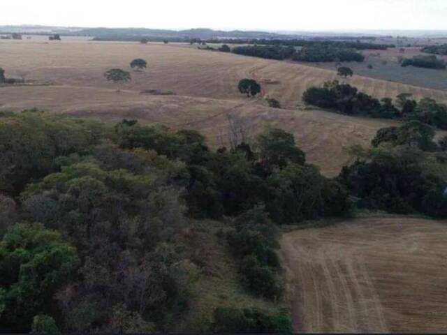 #376 - Fazenda para Venda em Santa Cruz de Goiás - GO - 2