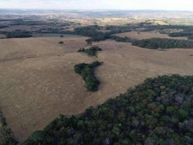 #376 - Fazenda para Venda em Santa Cruz de Goiás - GO - 3