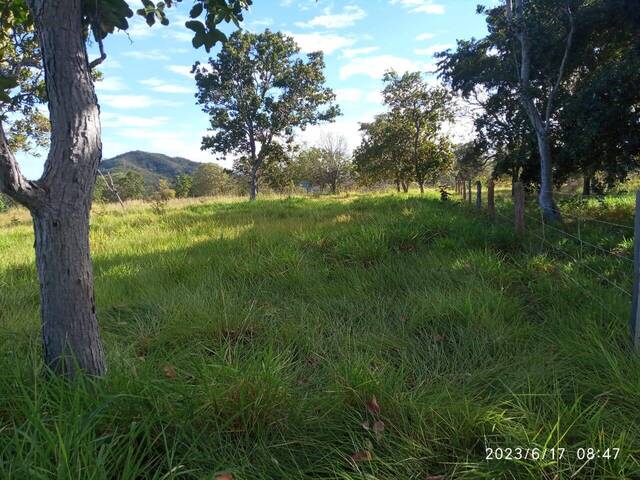 #377 - Fazenda para Venda em Cavalcante - GO - 3