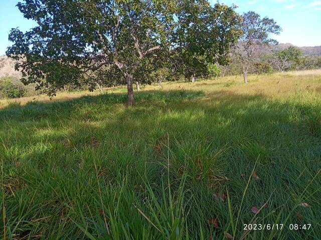 Fazenda para Venda em Cavalcante - 4