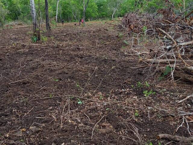 Fazenda para Venda em Cavalcante - 5