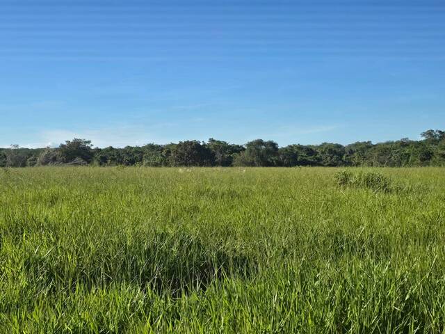 Fazenda para Venda em São Miguel do Araguaia - 5