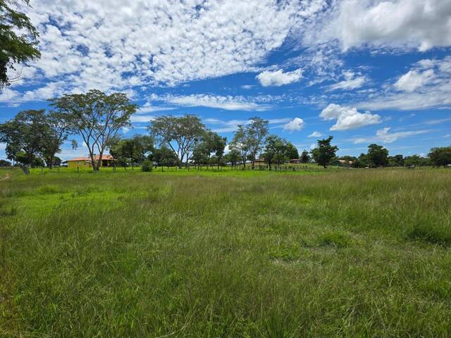 Fazenda para Venda em São Miguel do Araguaia - 4