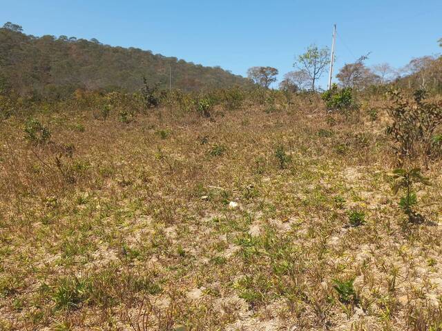Sítio para Venda em Santa Cruz de Goiás - 4
