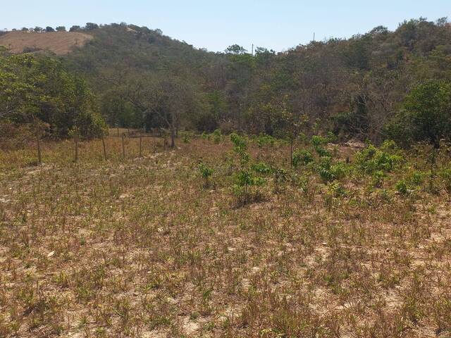 Sítio para Venda em Santa Cruz de Goiás - 5
