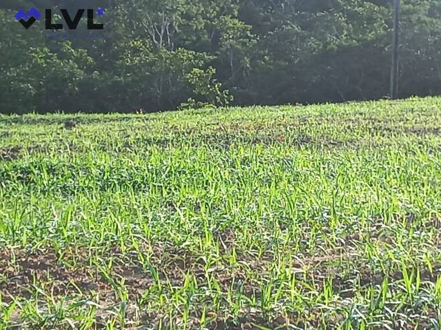 #386 - Sítio para Venda em Santa Cruz de Goiás - GO - 1