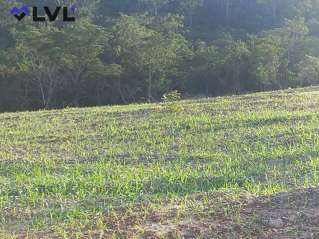 #386 - Sítio para Venda em Santa Cruz de Goiás - GO - 2