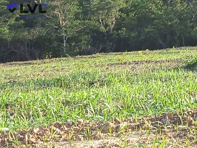 #386 - Sítio para Venda em Santa Cruz de Goiás - GO - 3