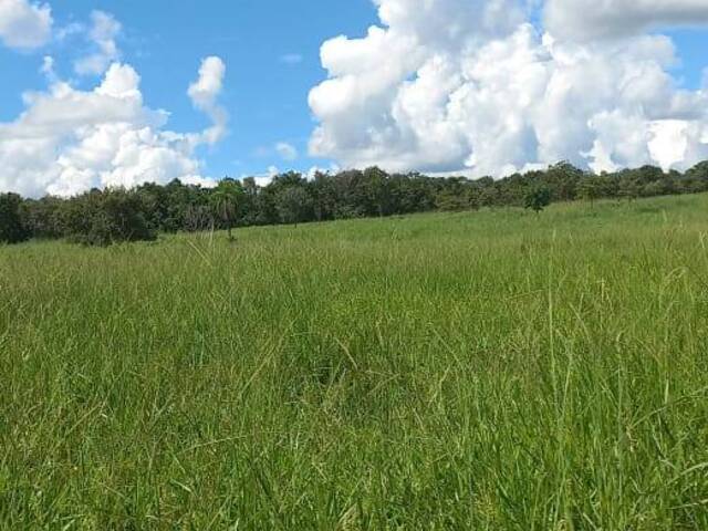 Fazenda para Venda em Mozarlândia - 4