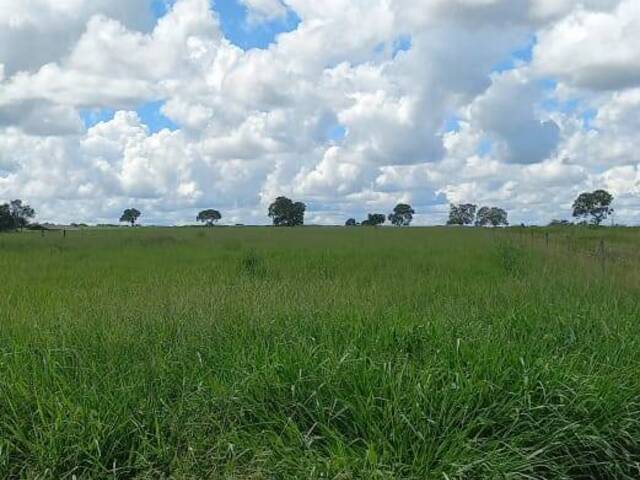 #389 - Fazenda para Venda em Mozarlândia - GO - 3