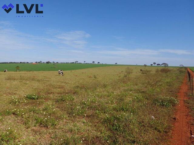 Sítio para Venda em Pontalina - 4