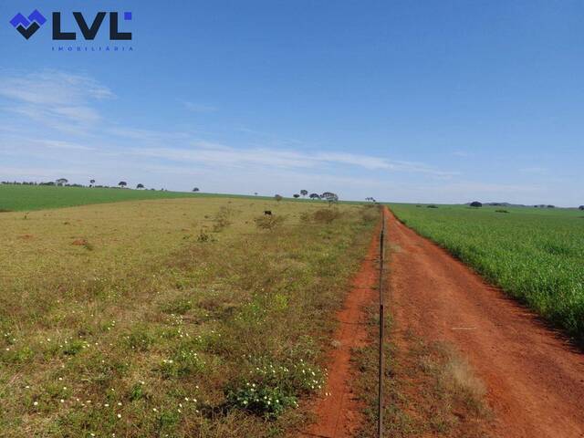 #397 - Sítio para Venda em Pontalina - GO - 2