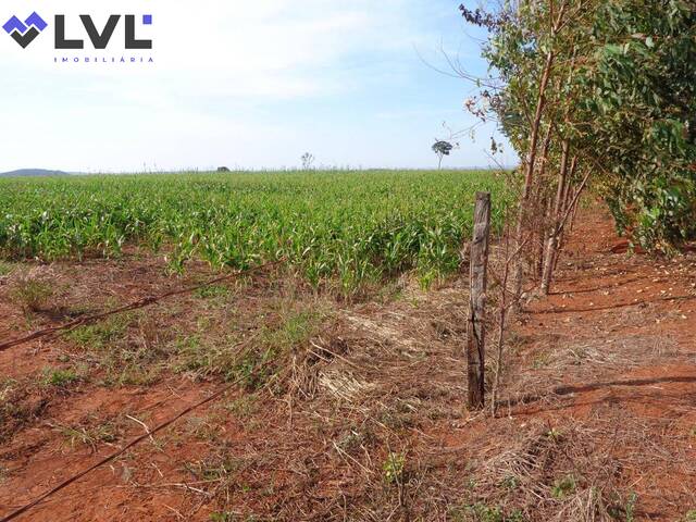 Sítio para Venda em Pontalina - 5