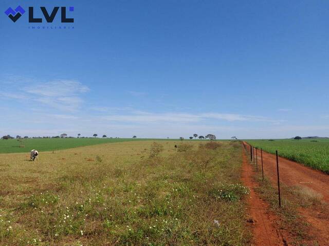 #397 - Sítio para Venda em Pontalina - GO - 1