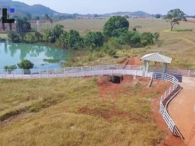 #412 - Fazenda para Venda em Goianira - GO - 2