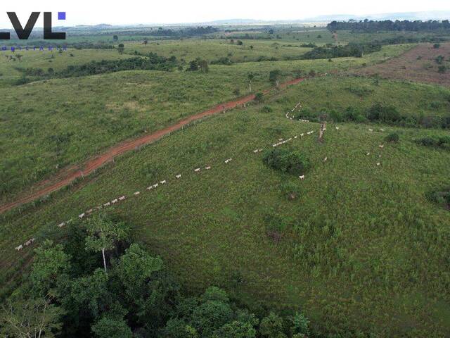 #413 - Fazenda para Venda em São Félix do Xingu - PA