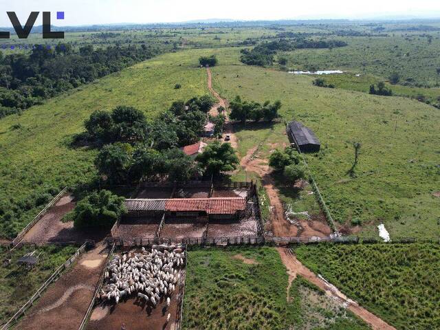 Fazenda para Venda em São Félix do Xingu - 4