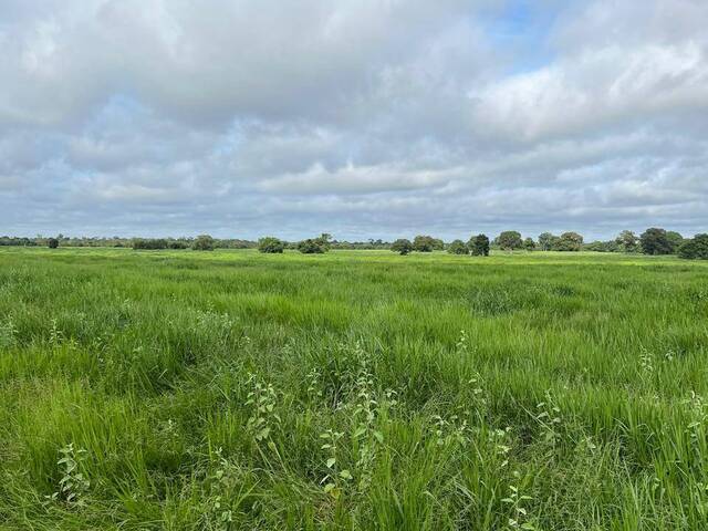 #416 - Fazenda para Venda em Cocalinho - MT