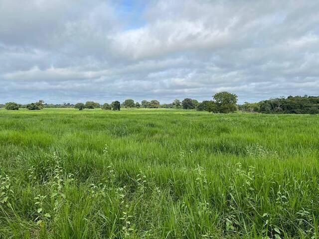 Fazenda para Venda em Cocalinho - 5