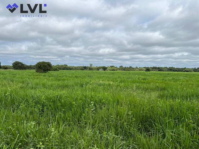 Fazenda para Venda em Cocalinho - 4